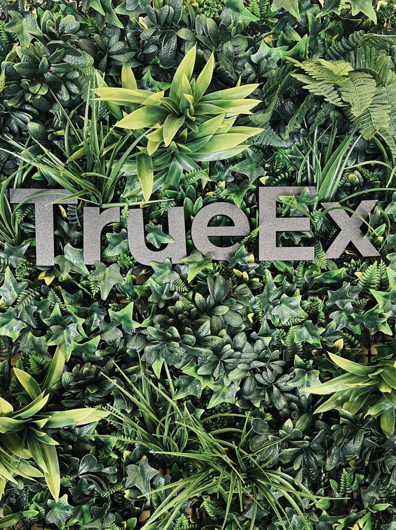TrueEx