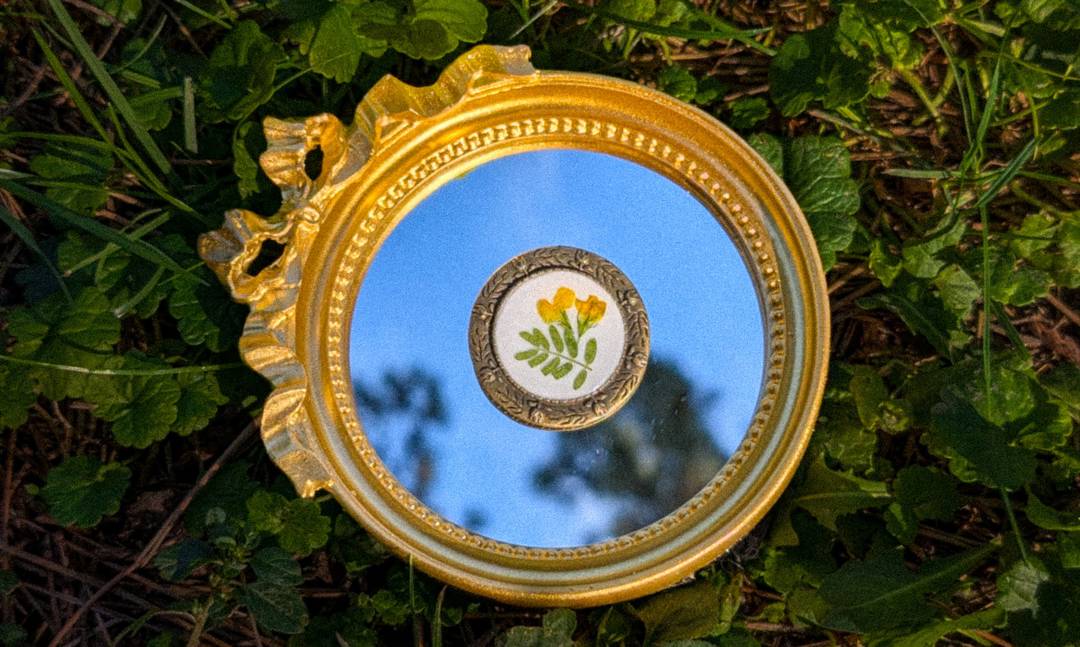 Брошка с истински Лядвенец от Жабляк