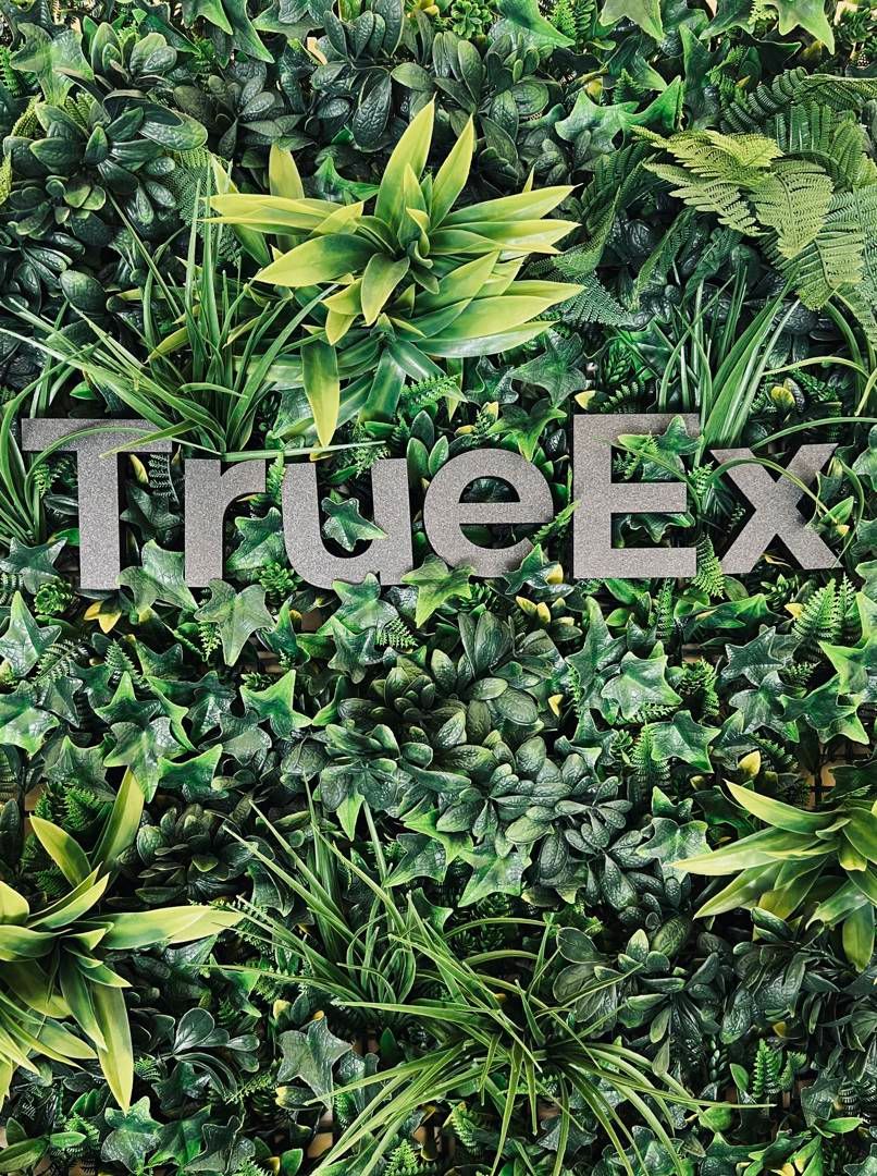 TrueEx