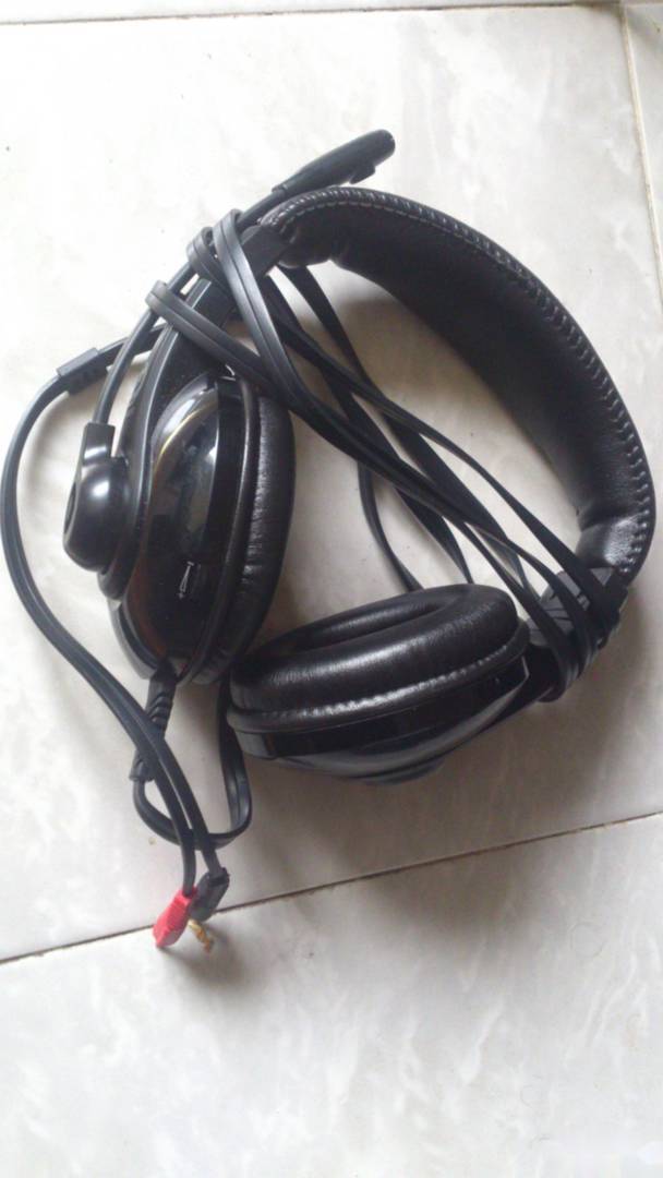 Headset with microphone Zalman ZM-HPS2000