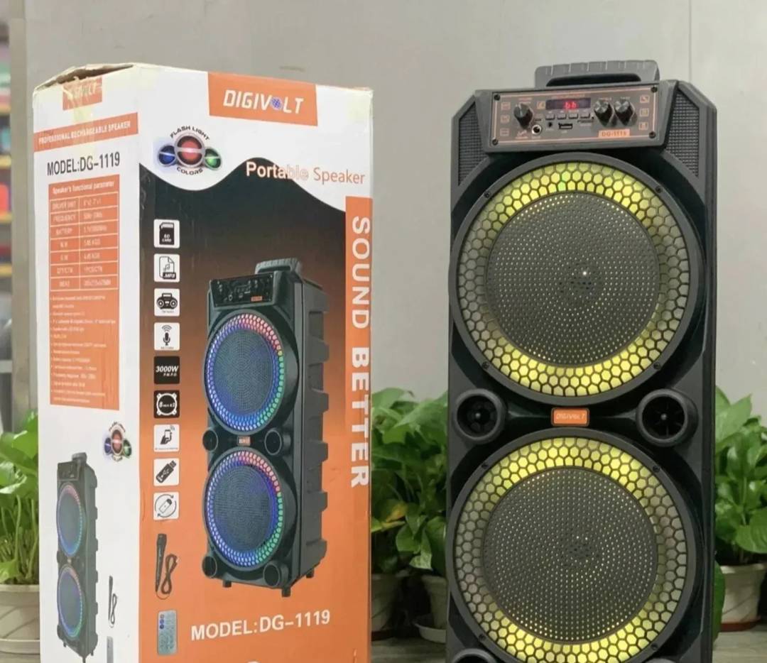 Bluetooth karaoke zvučnik Digivolt DG-1119 2 × 8" sa mikrofonom