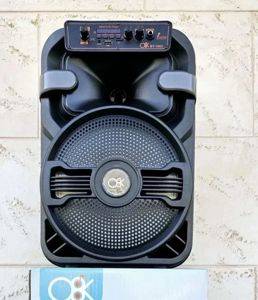 Bluetooth високоговорител BT-1002 10" 20 W с микрофон и дистанционно — Beograd