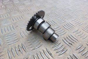 Ax cu came pentru Aprilia Leonardo 125/150 — Novi Sad