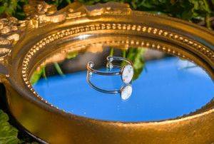 Adjustable Ring with Real Forget-Me-Not from Novi Sad — Novi Sad