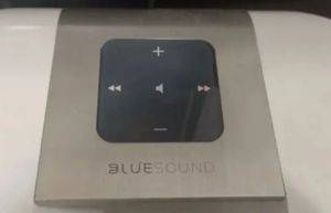 Brezžični zvočnik Bluesound Pulse P300 (nedelujoč) — Novi Sad