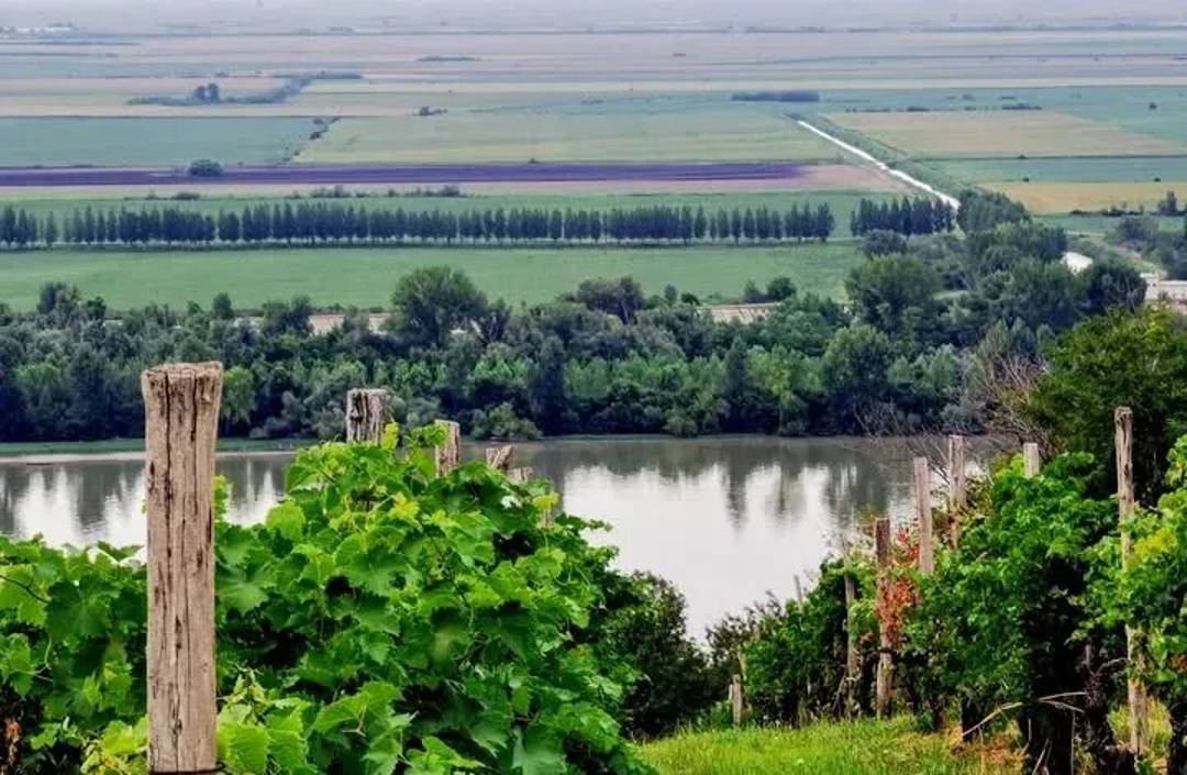 Участок 10 ар с видом на Дунай, Югово (Смедерево) — 5.000 €/ар