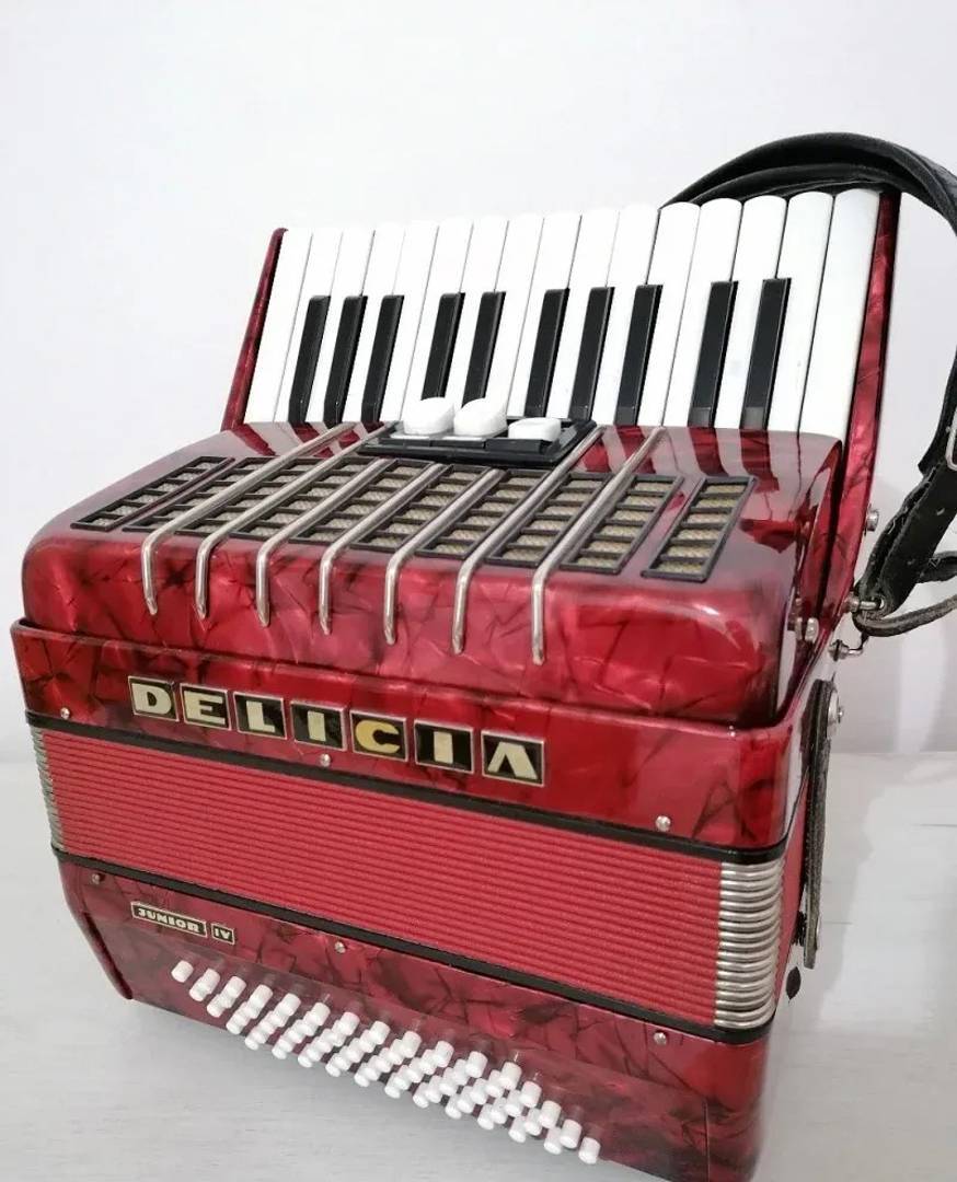 Delicia Junior IV accordion, 60 basses, 3 registers