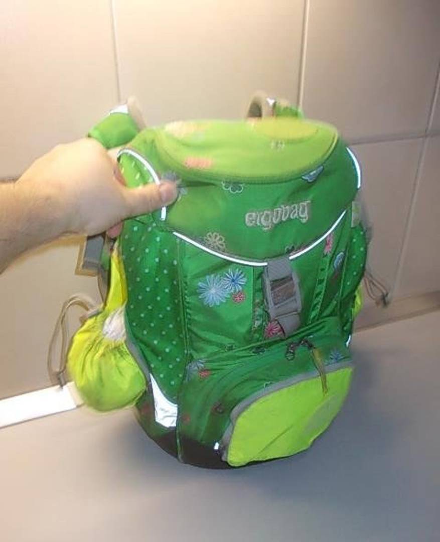 Ergobag school backpack, 50x40x25 cm