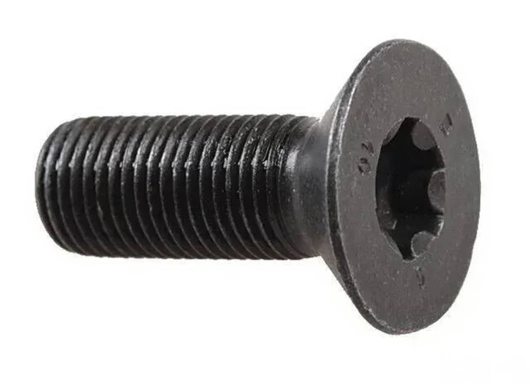 Camshaft adjuster bolt Audi 2.0 TFSI 06D 109 281 D
