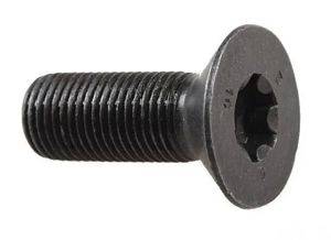 Camshaft adjuster bolt Audi 2.0 TFSI 06D 109 281 D — Beograd