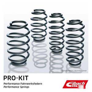 Arcuri sport Eibach Pro-Kit VW Golf V 2.0 TDI — Beograd