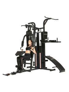 Aparat multifuncțional Orion Classic L4 cu bancă și sac de box — 100 kg greutăți — Beograd