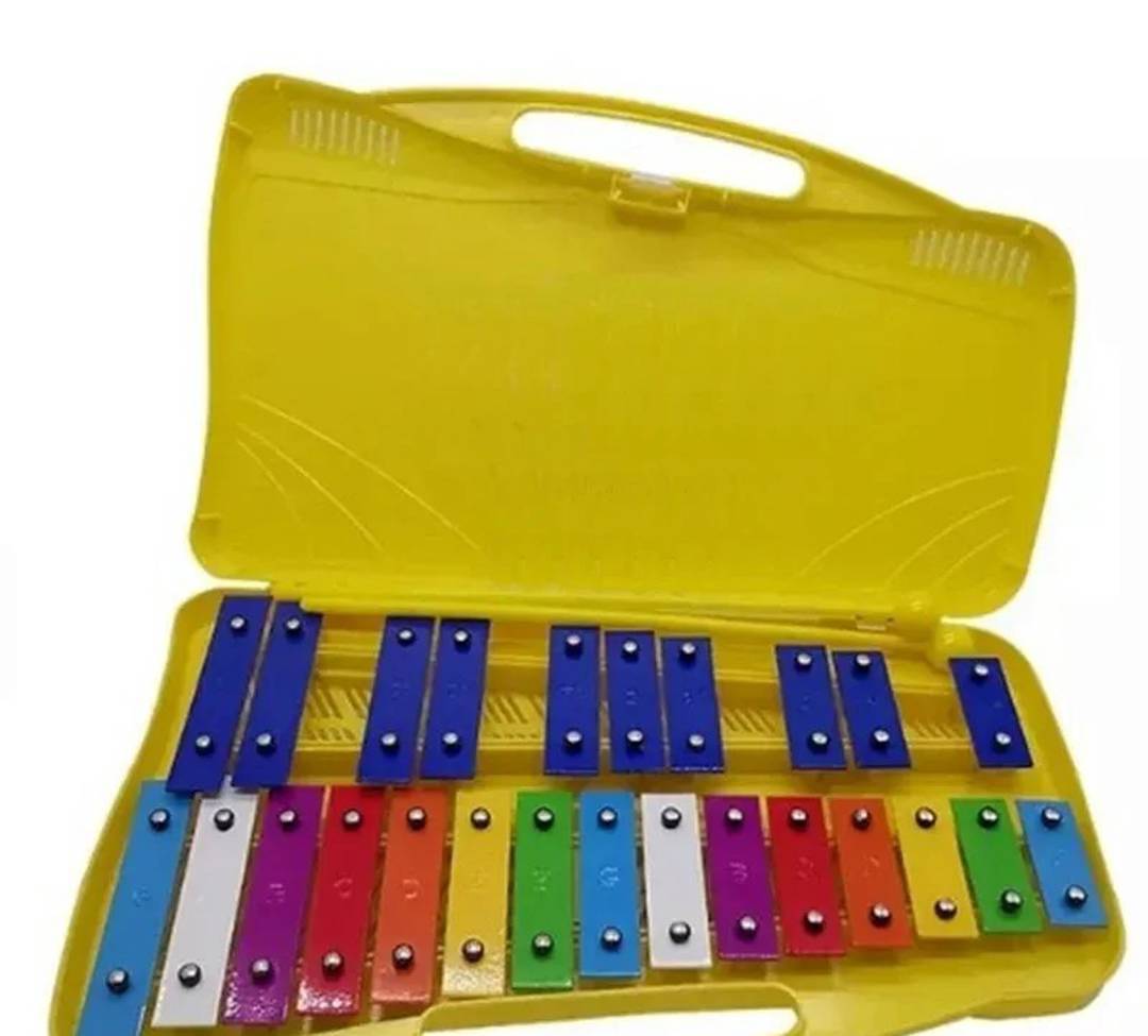 Metalofon cu două rânduri, în cutie din plastic (P171)