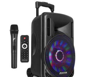 Fenton FT10LED tragbarer Aktivlautsprecher 10" mit kabellosem Mikrofon, 450 W — Zaječar