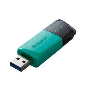 USB-Stick Kingston DataTraveler Exodia 256 GB DTXM/256 — Beograd