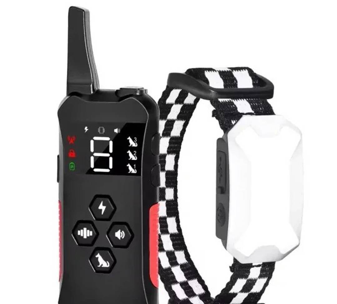 Hundetrainingshalsband mit Fernbedienung, Ton, Vibration und Impuls