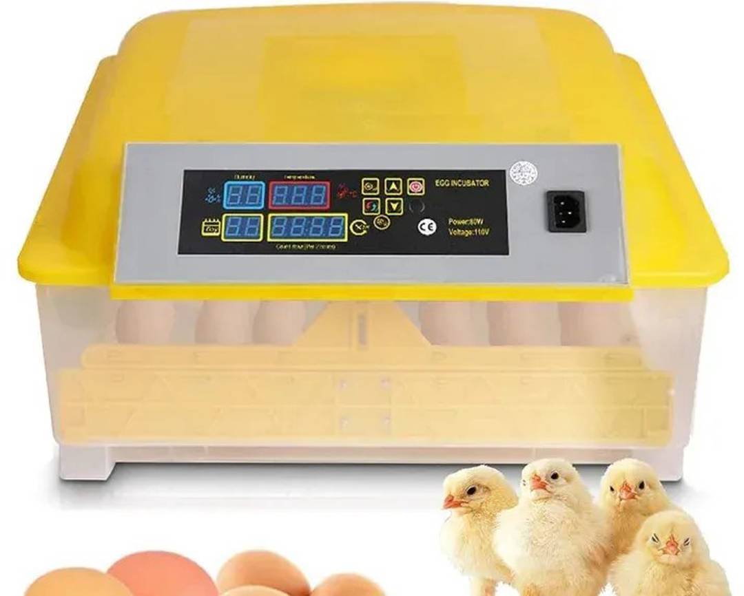 Automatischer Brutapparat für 56 Eier mit LCD-Display