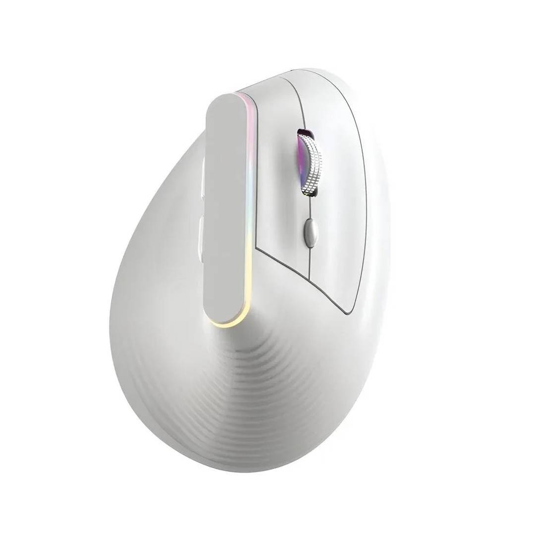 Kabellose vertikale Maus WB-889, 2,4 GHz und Bluetooth, wiederaufladbar