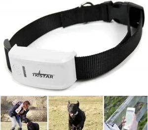 GPS-Tracker für Hunde Tkstar TK909 mit Halsband — Beograd