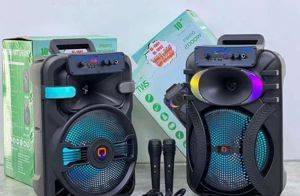 Karaoke Bluetooth zvučnik QL-1001 10" sa mikrofonom i daljinskim — Beograd