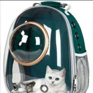 Katzen-Transport-Rucksack mit transparentem Fenster — Beograd