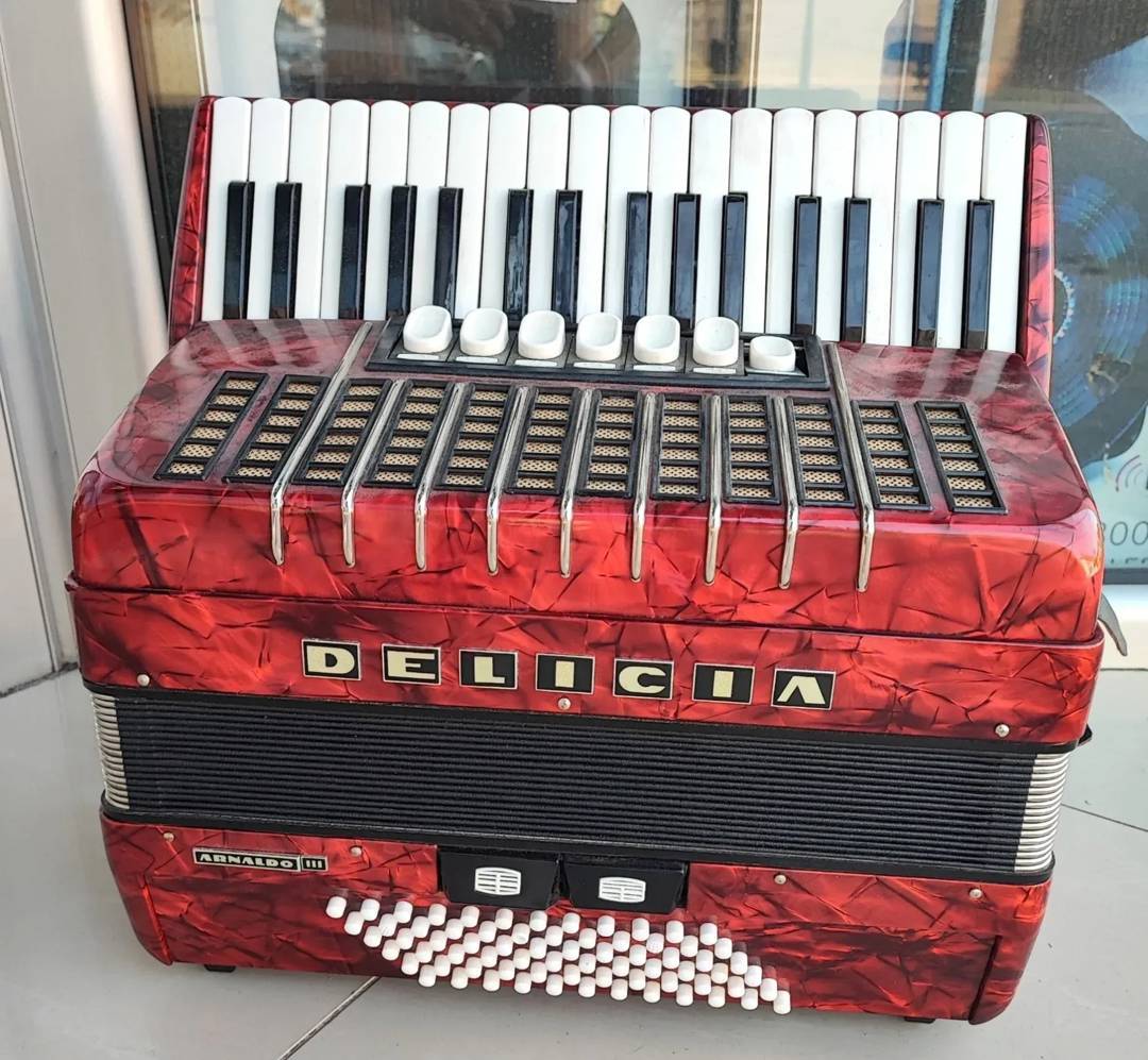 Delicia Arnaldo 3 Accordion, 72 Bass, 7+2 Registers, with Case
