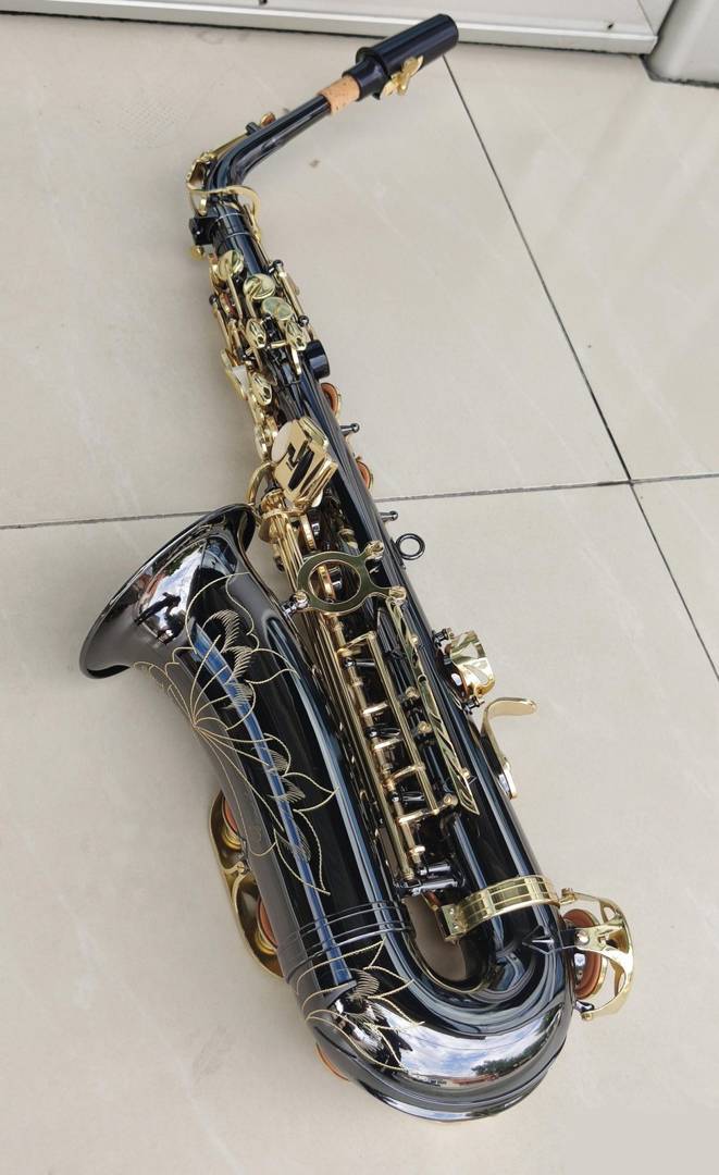 W010 Eb Alto Saxophone, black with gold keys, with case
