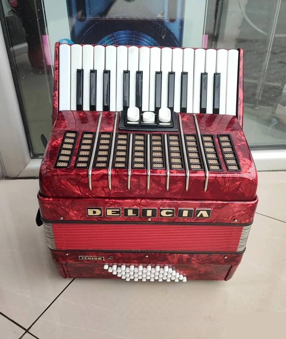 Delicia Junior 2 harmonika, 48 basszus, tokkal (20-as kód)
