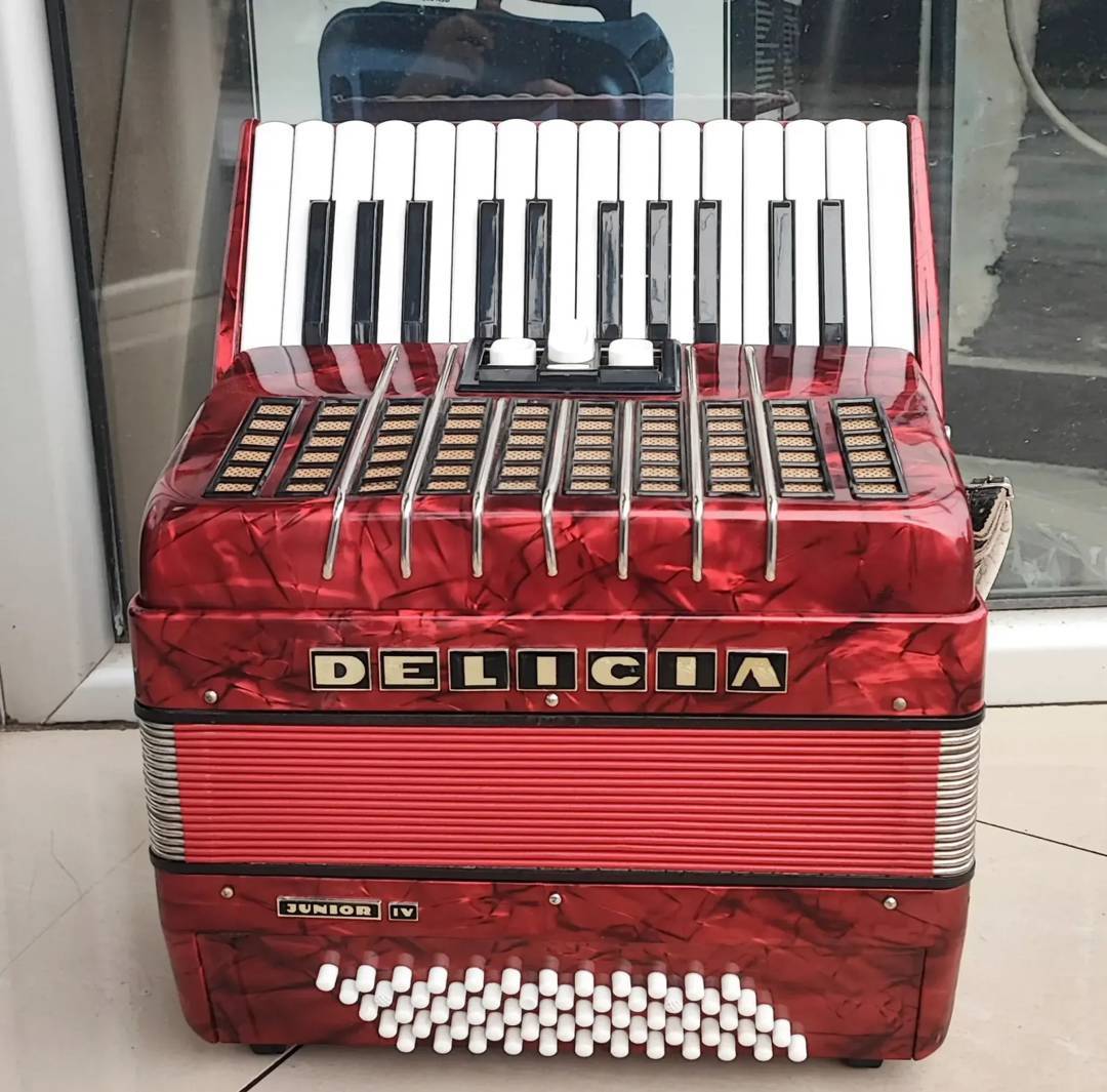 Harmonika Delicia Junior 4, 60 basa, sa koferom (šifra 25)