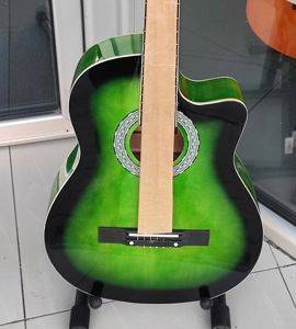 Akustikgitarre Cutaway 38", grün — Bor