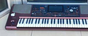Korg Pa1000 Arranger mit Sets, gebraucht — Bor